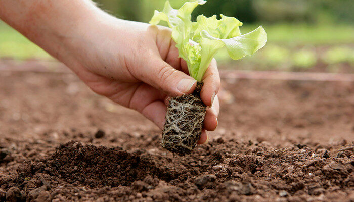 多个知名文旅项目的案例