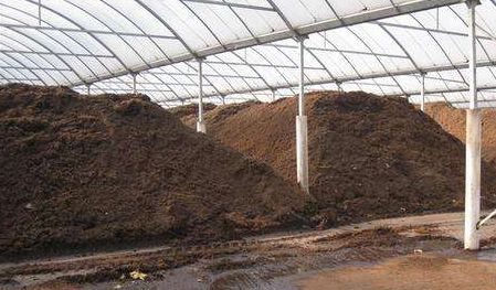 AI算法结合遥感数据