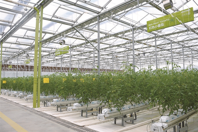 还可以尝试成为一名“业余养蜂人”